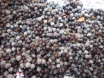 elderberry pile, pre-syrup