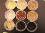 Some grains (in beakers in a lab). Top row, from left: millet, steel-cut oats, bread wheat. Middle row: pearl barley, red rice, kamut wheat. Bottom row: brown rice, wild rice, black rice.