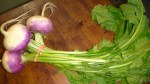 turnips with greens