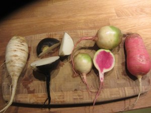 Radish varieties: white, black, watermelon and China rose