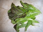 purple mustard greens