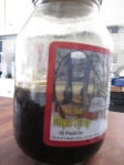 Dark Grade B maple syrup