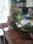 My toddler. Sampling the broccoli.