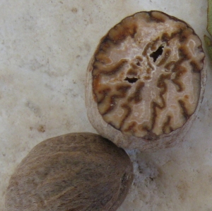 Nutmeg seed showing brown seed coat folded within the ruminate endosperm