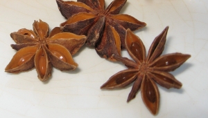 Star anise (Illicium verum) fruits