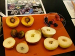 Rose family fruit (in a lab exercise). Smallest seeds are in the blackberries and raspberries in the petri dish in the far right corner, the largest in the tree-borne stone fruits peach and plum on the left