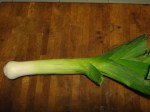 leek