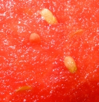 Small undeveloped seeds can be found in a seedless watermelon, but most people just eat these
