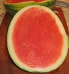 A seedless watermelon