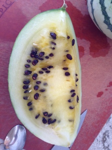 This watermelon definitely has seeds