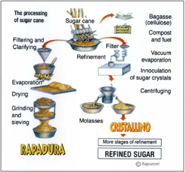 Figure 4. Alternative processing of sugarcane juice. Figure from the Rapunzel company, which manufactures rapadura.
