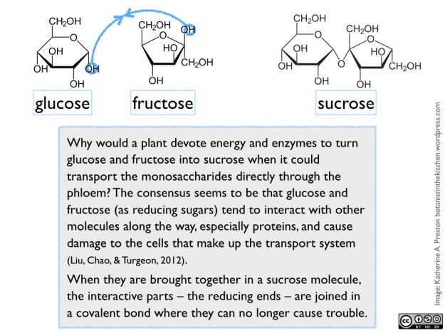 Sugars: glu, fru, and sucrose