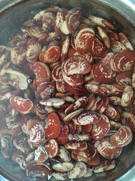 thumb_2016-06-17-10-06-32_1024