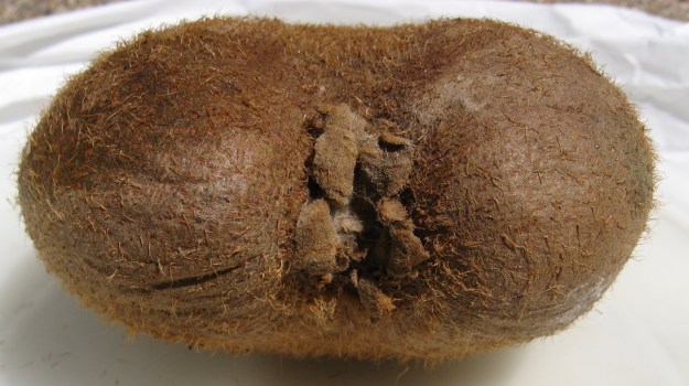 Kitafeli Kiwifruit 1: Why are they so fuzzy? | The Botanist in the Kitchen