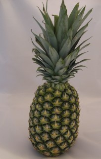 Bromeliaceae: whole pineapple